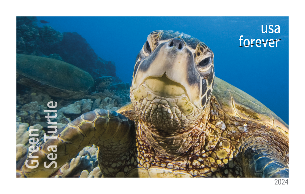 Protect Sea Turtles — Stamps Forever