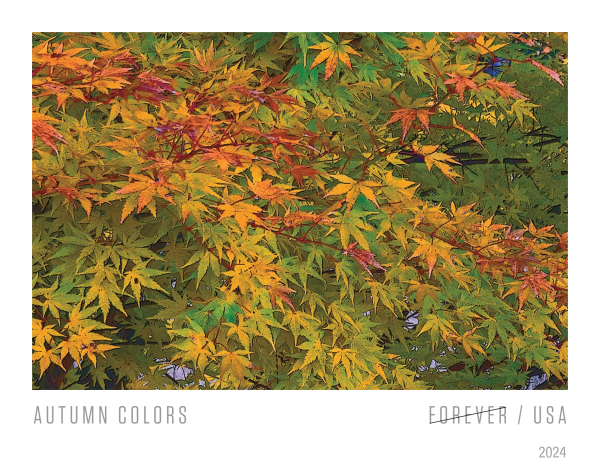 Autumn Colors — Stamps Forever