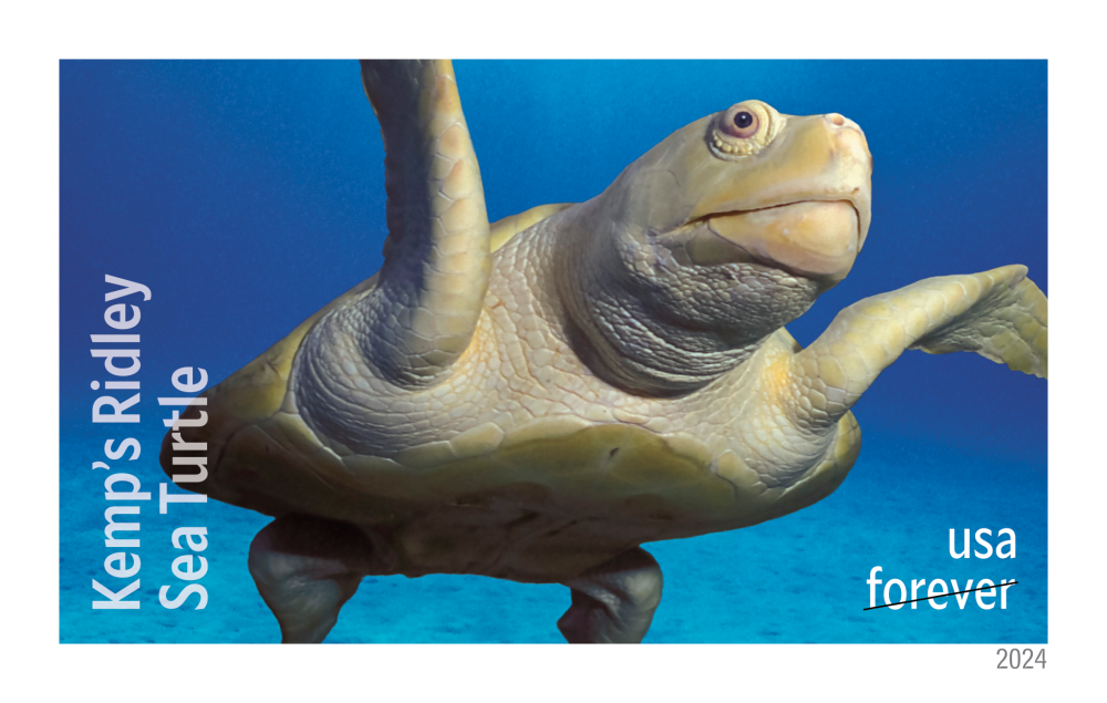 Protect Sea Turtles — Stamps Forever 0804