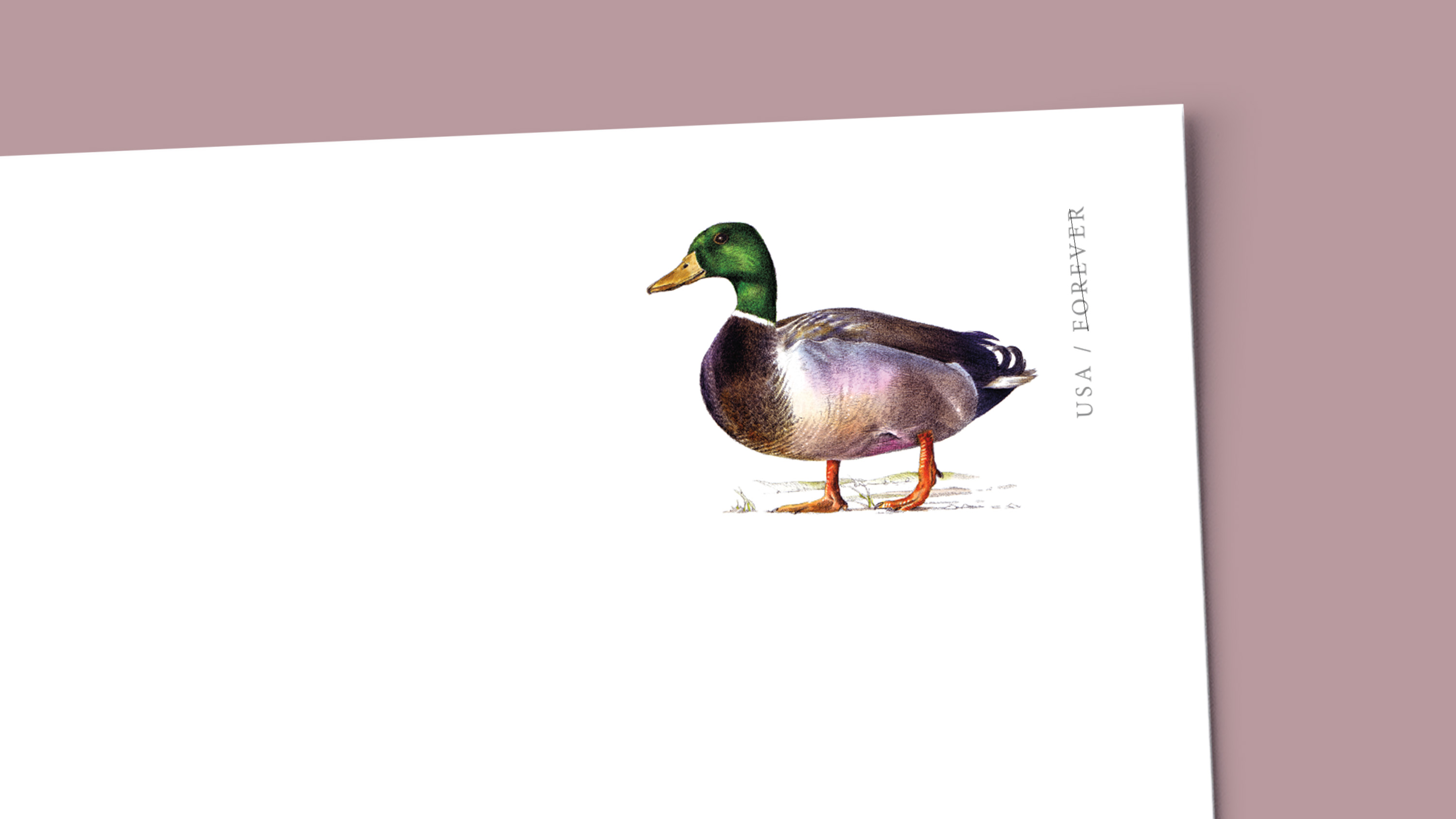 切手23 Pages 22-23 - Spring 2024 Catalog — Stamps Forever