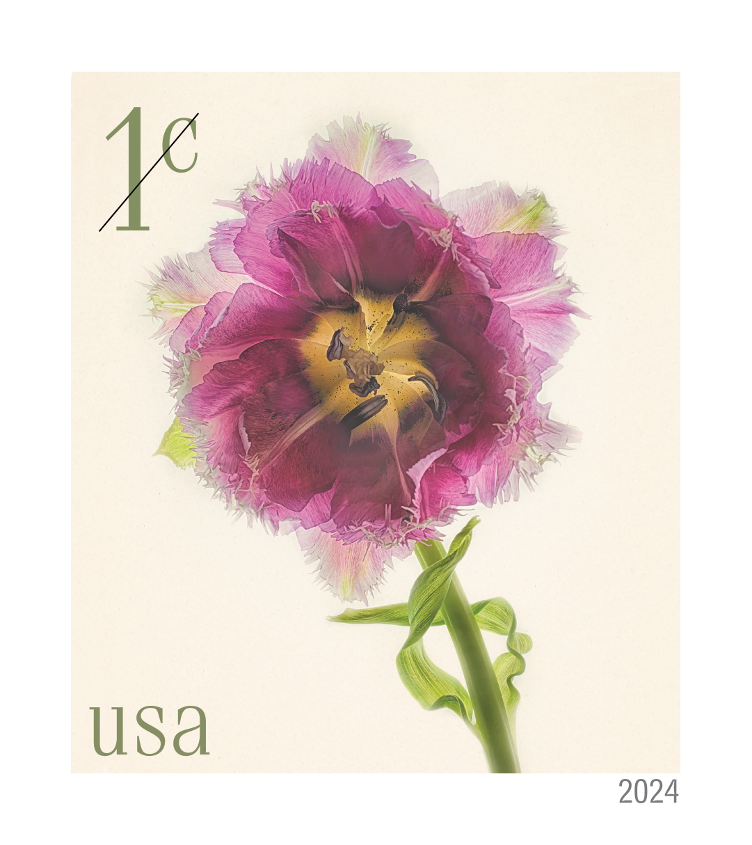 1¢ Fringed Tulip — Stamps Forever