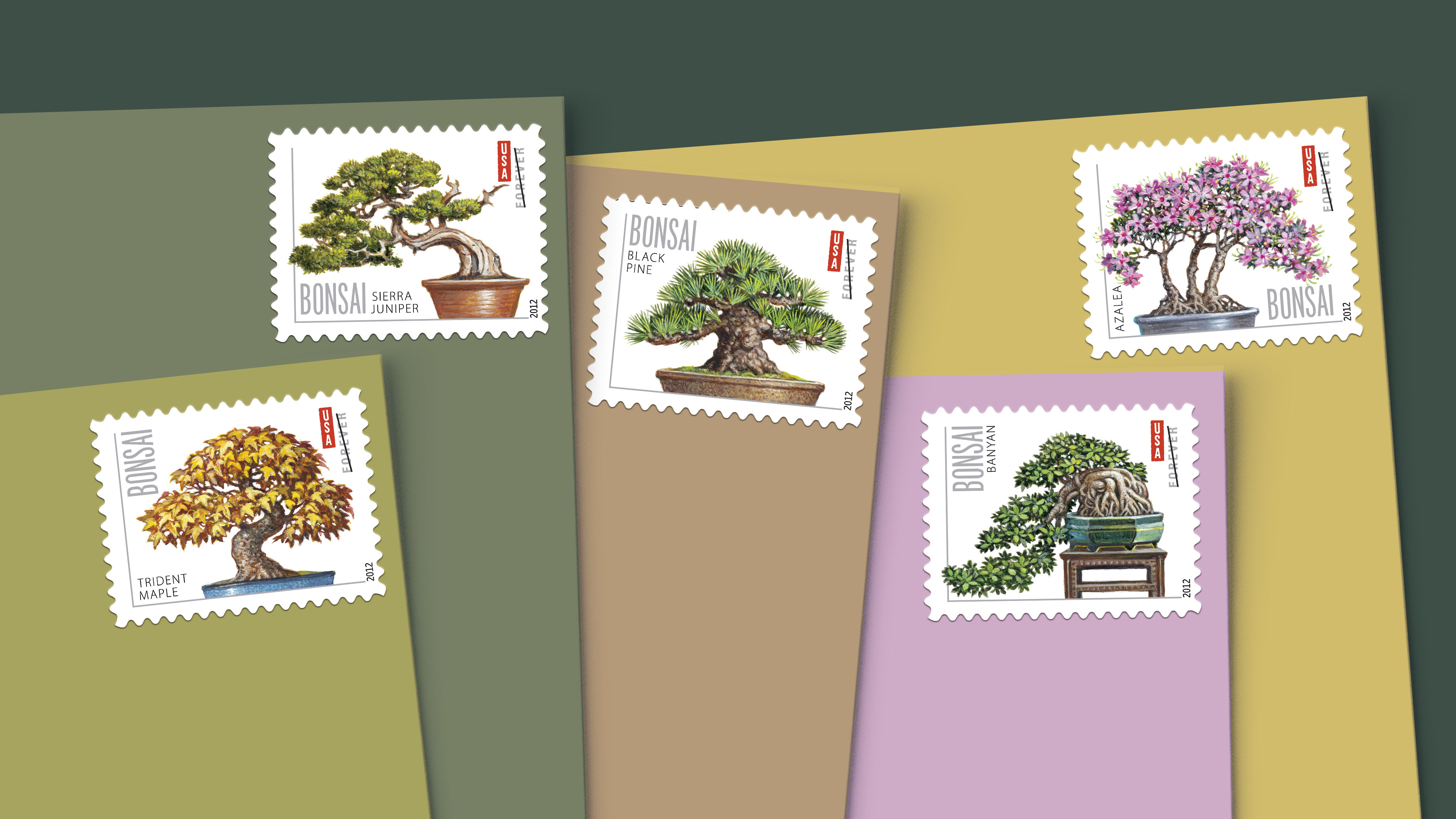 Bonsai — Stamps Forever