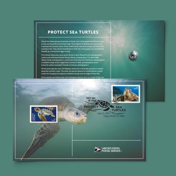 Protect Sea Turtles Stamp Pin with Cancellation Card — Stamps Forever