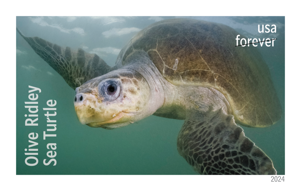 Protect Sea Turtles — Stamps Forever 7272