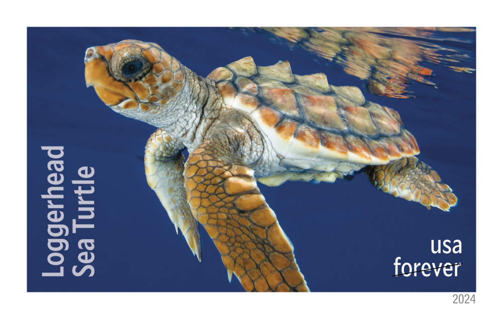 Protect Sea Turtles — Stamps Forever